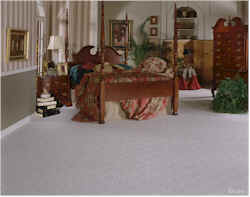 carpet dealers and wholesalers